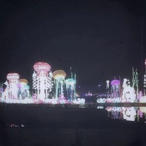 99在线精品视频
