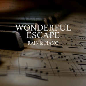 99在线精品视频
