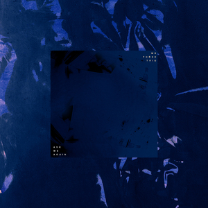 99在线精品视频
